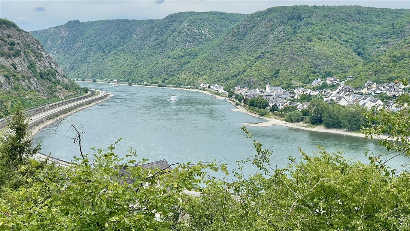 Rheinblick