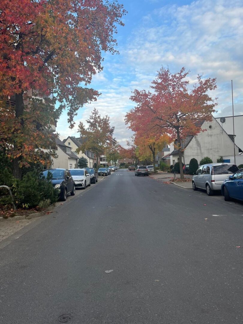 Immobilien-Richter: Möblierte Wohnung am Deich in Düsseldorf-Vollmerswerth 1 Straßenbereich