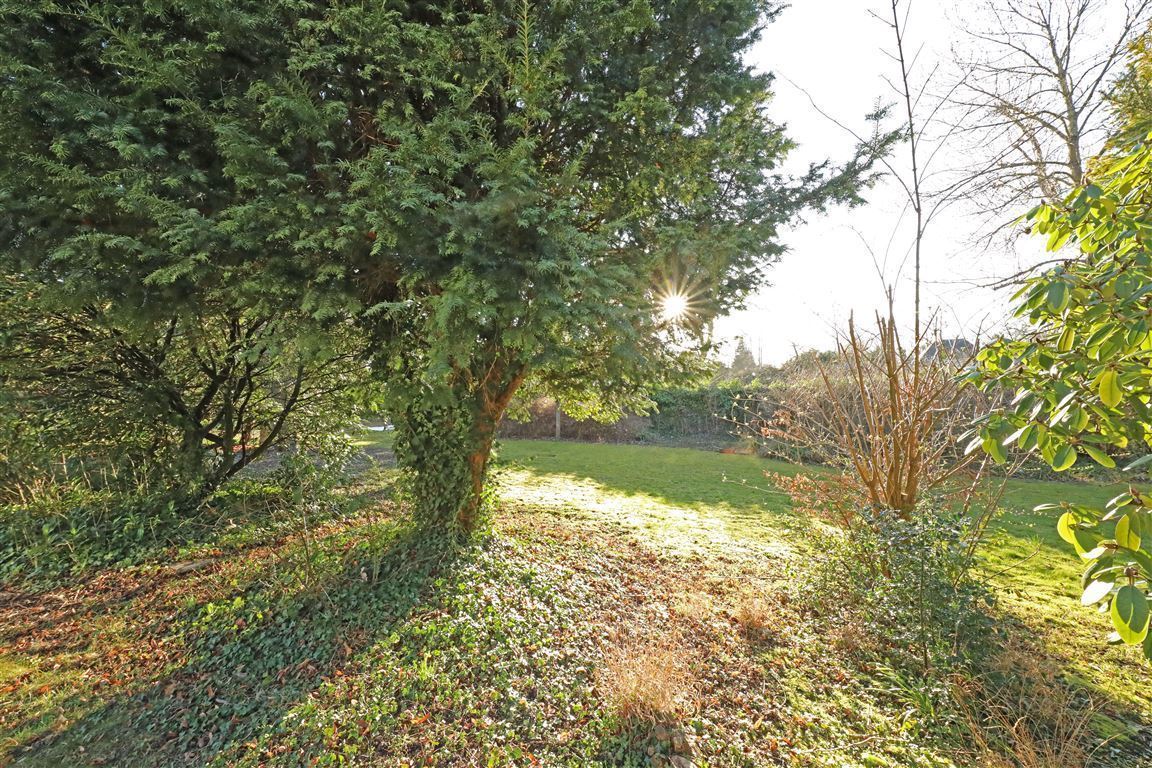 Parkähnlicher Garten