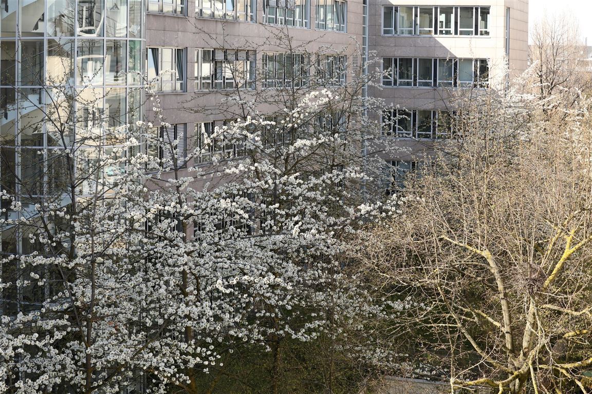 Blick nach hinten