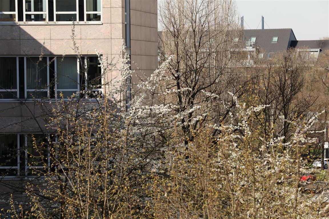 Blick nach hinten